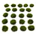 Stonehaven Self-Adhesive Static Grass Tufts 10mm set of 21