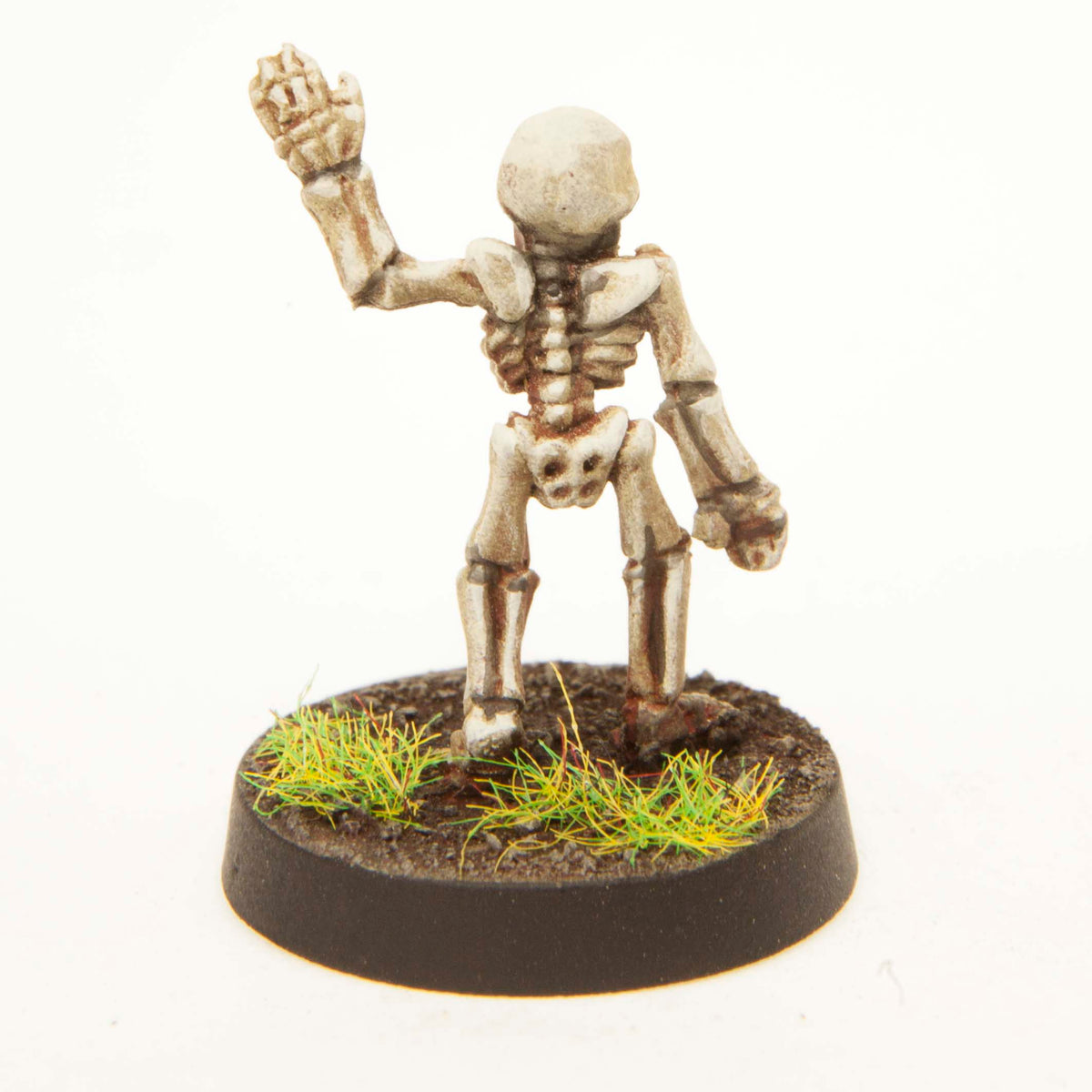 Gnome Skeleton miniature, painted example (ships unpainted), another view