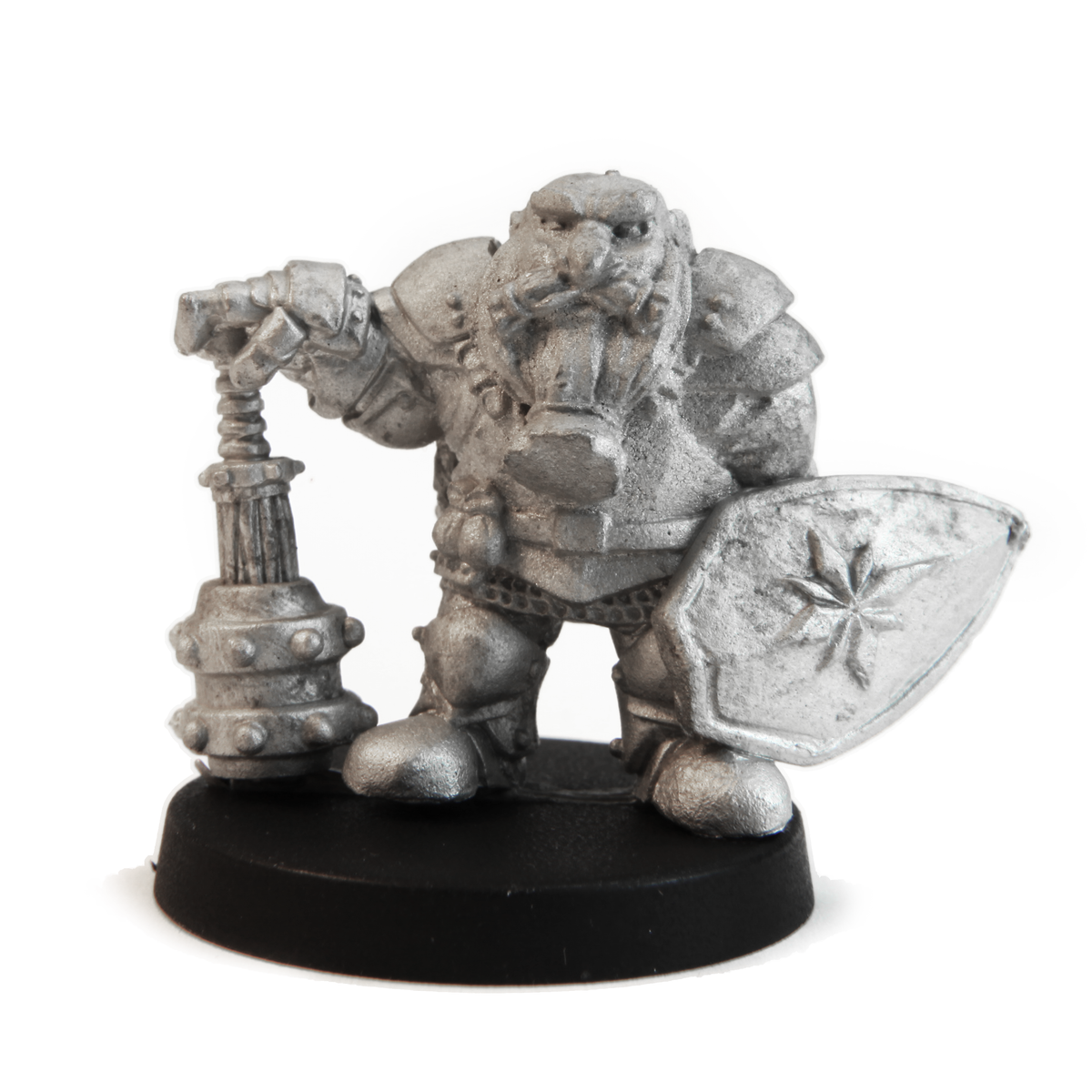 Dwarf Paladin, 23mm — Stonehaven Miniatures