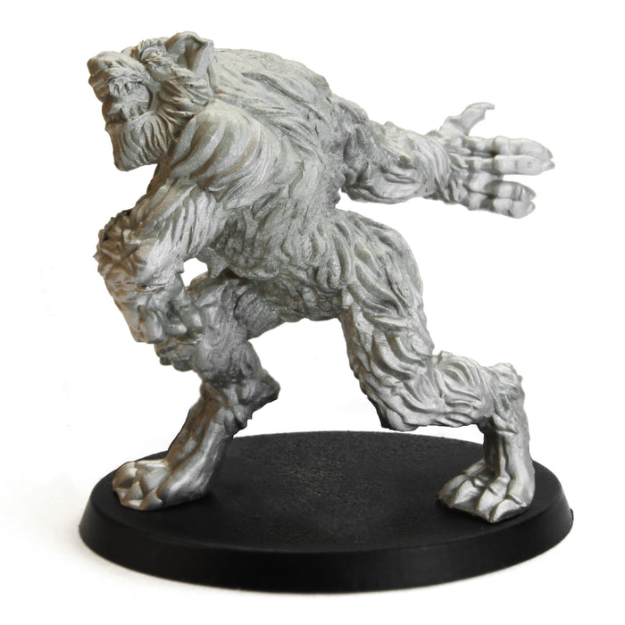 Tytantroll Werewolf Brawler, 45mm