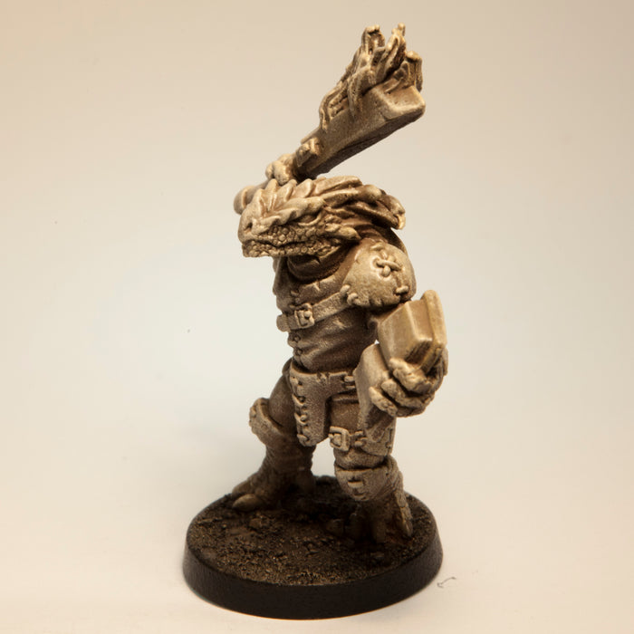 Half-Dragon Spellblade Male, 50mm